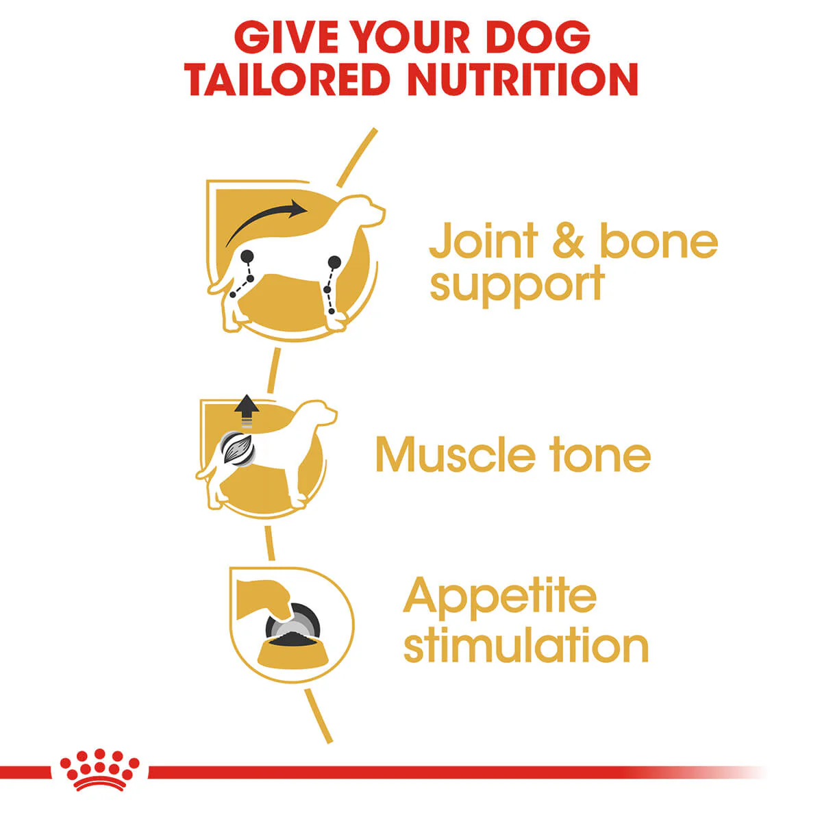 Royal Canin Dachshund Adult Wet Dog Food - Image 7