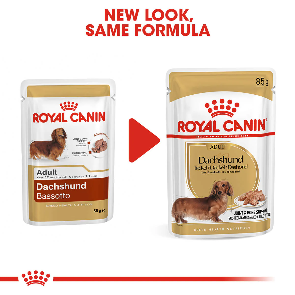 Royal Canin Dachshund Adult Wet Dog Food - Image 8