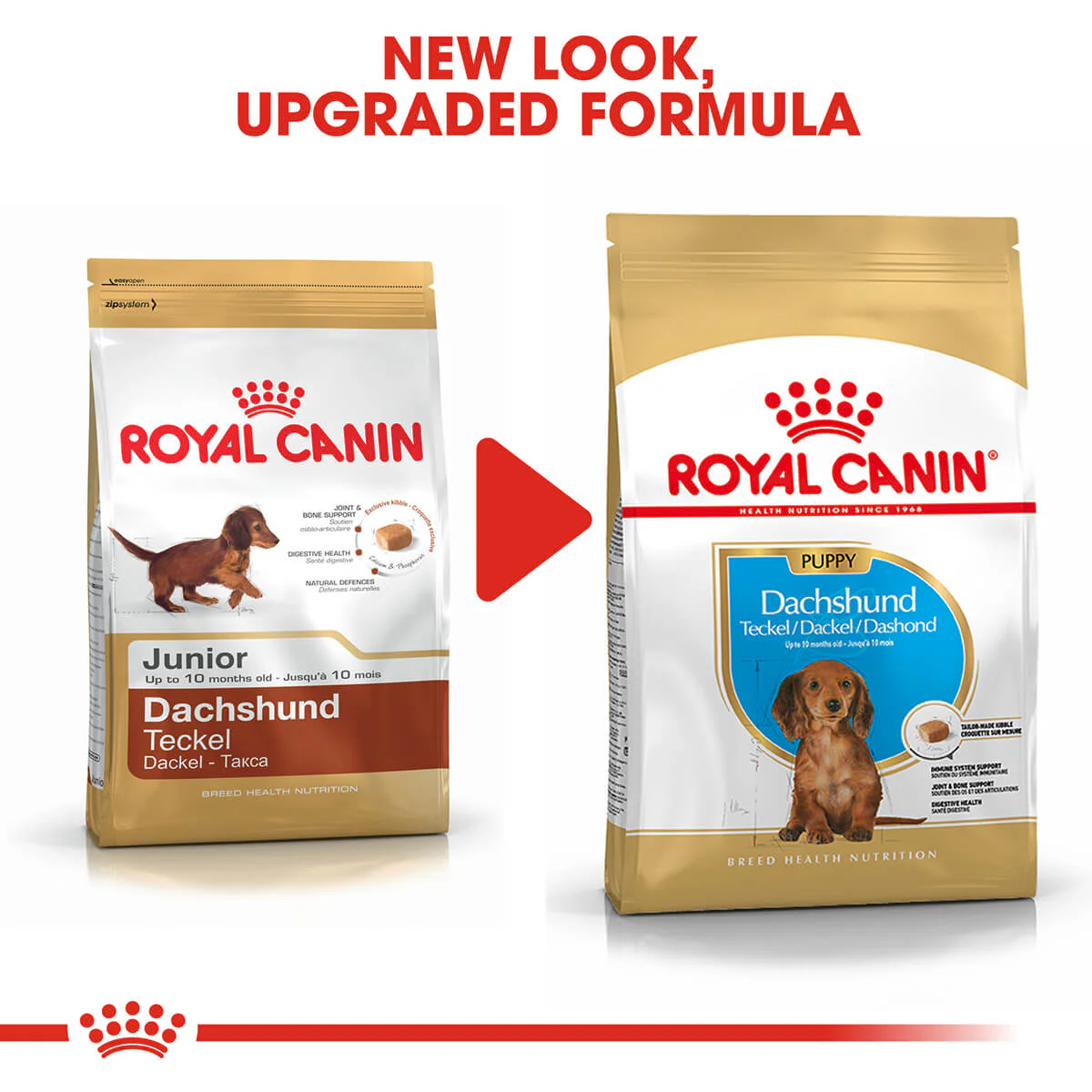 Royal Canin Dachshund Puppy Dry Dog Food 1.5kg - Image 13