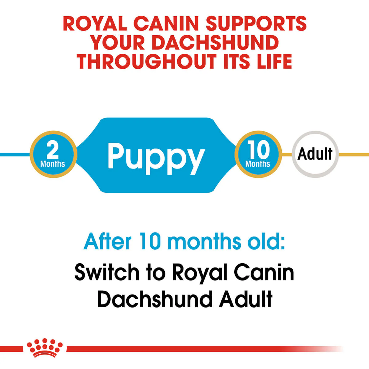 Royal Canin Dachshund Puppy Dry Dog Food 1.5kg - Image 2