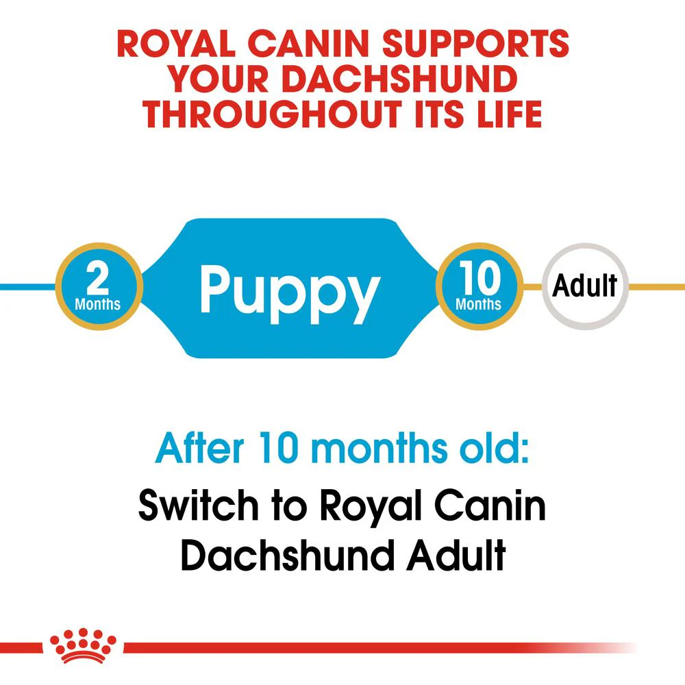 Royal Canin Dachshund Puppy Dry Dog Food 1.5kg - Image 8