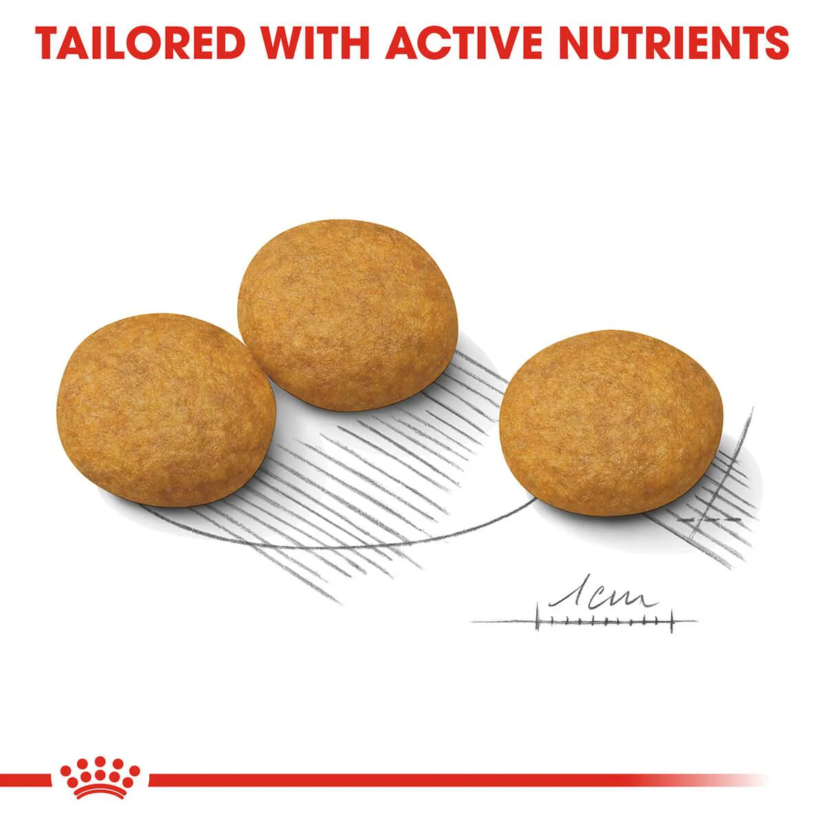 Royal Canin Dermacomfort Medium Adult Dry Dog Food - Image 11