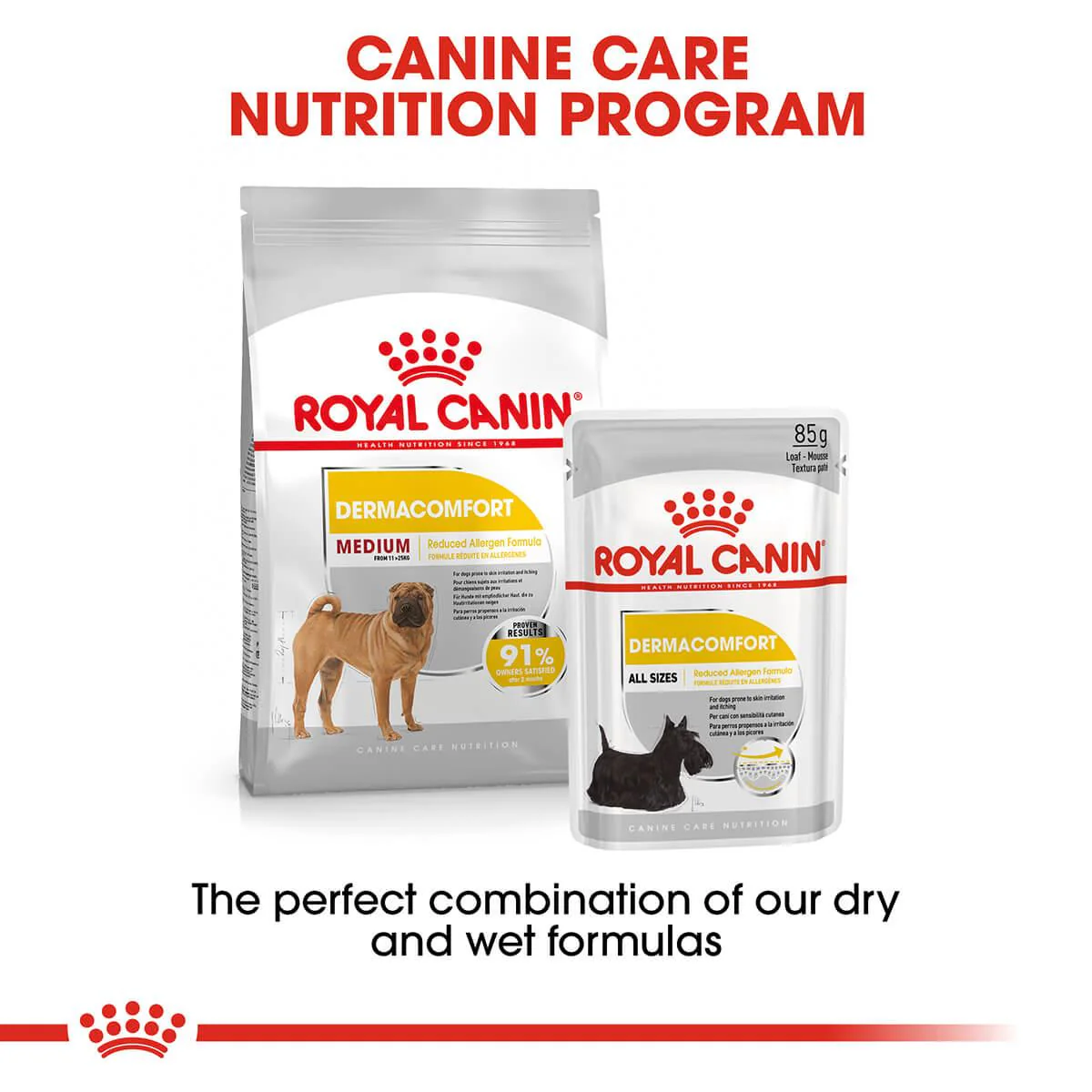 Royal Canin Dermacomfort Medium Adult Dry Dog Food - Image 13