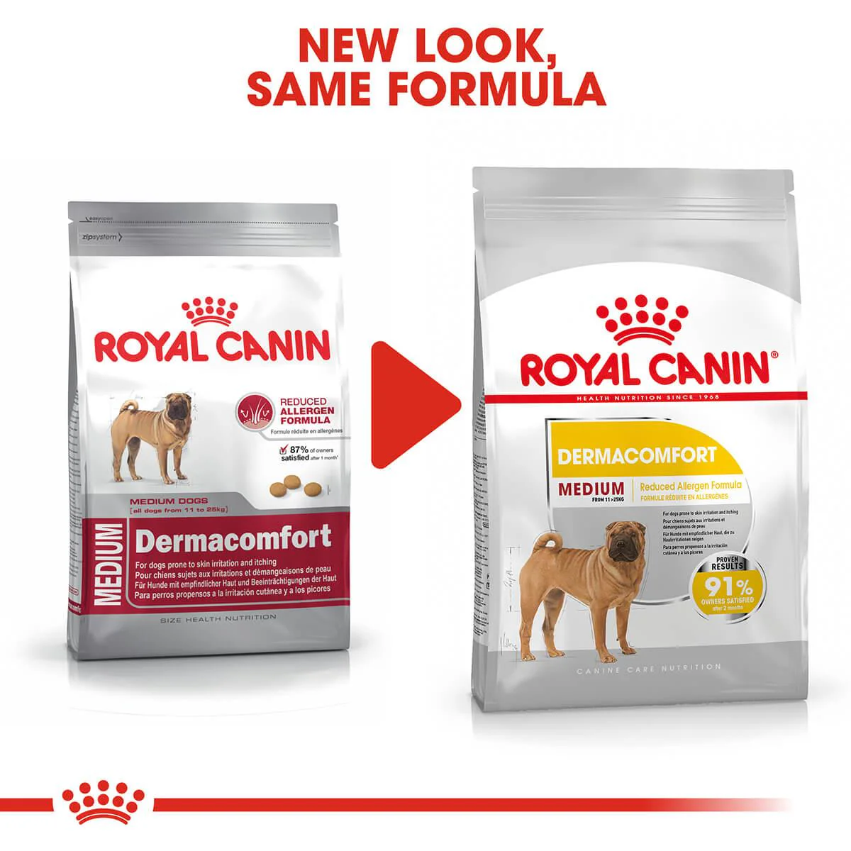 Royal Canin Dermacomfort Medium Adult Dry Dog Food - Image 3