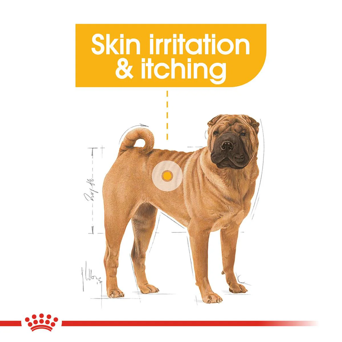 Royal Canin Dermacomfort Medium Adult Dry Dog Food - Image 6