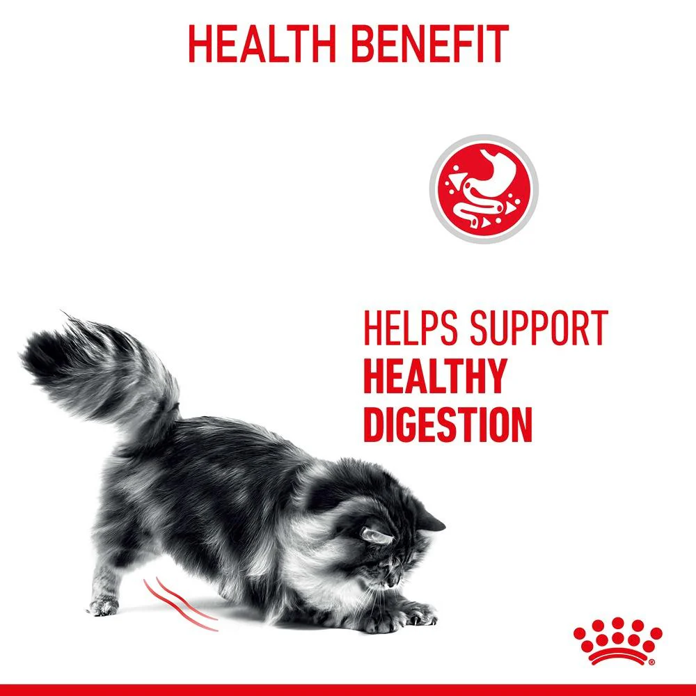 Royal Canin Digestive Care Loaf Adult Cat Wet Food Pouches - Image 7