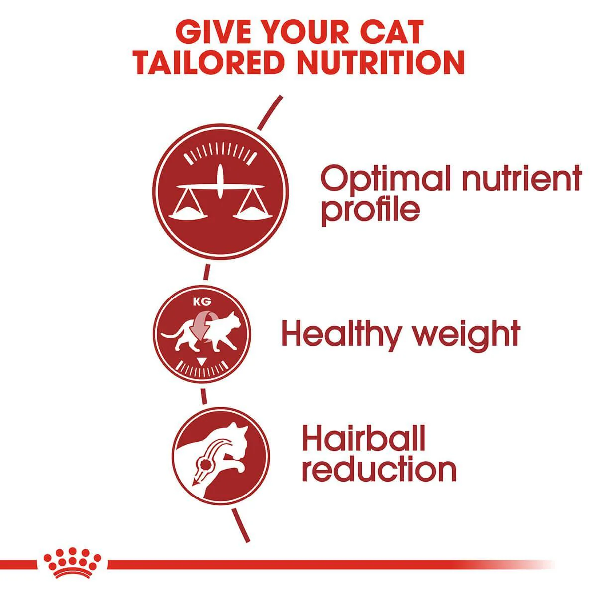 Royal Canin Fit Adult Dry Cat Food - Image 6