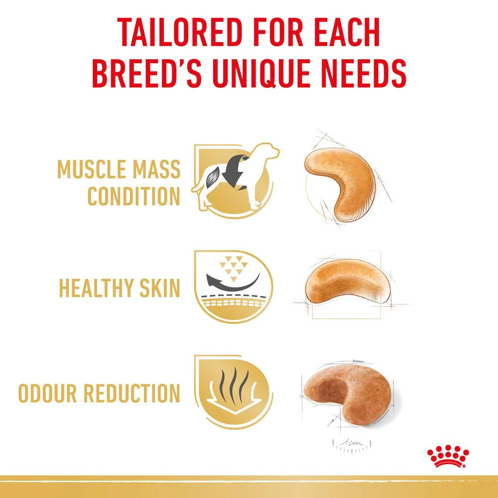 Royal Canin French Bulldog Adult Dry Dog Food - Image 7