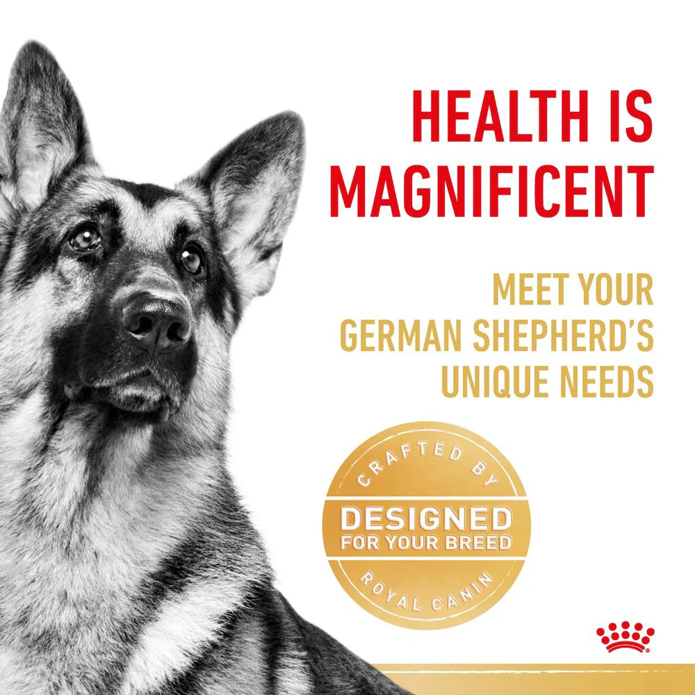 Royal Canin German Shepherd Adult Dry Dog Food 11kg - Image 2