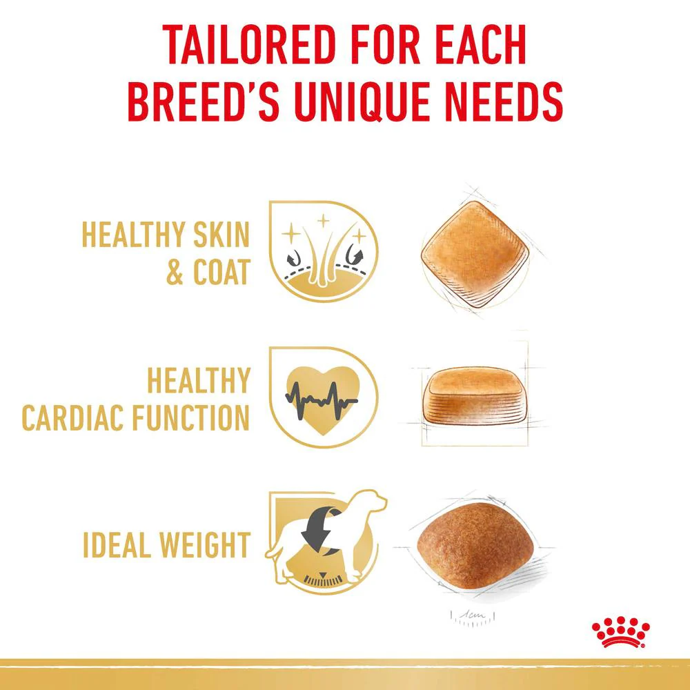 Royal Canin Golden Retriever Adult Dry Dog Food 12kg - Image 3