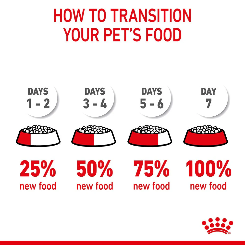 Royal Canin Hair & Skin Care Adult Dry Cat Food 2kg - Image 10
