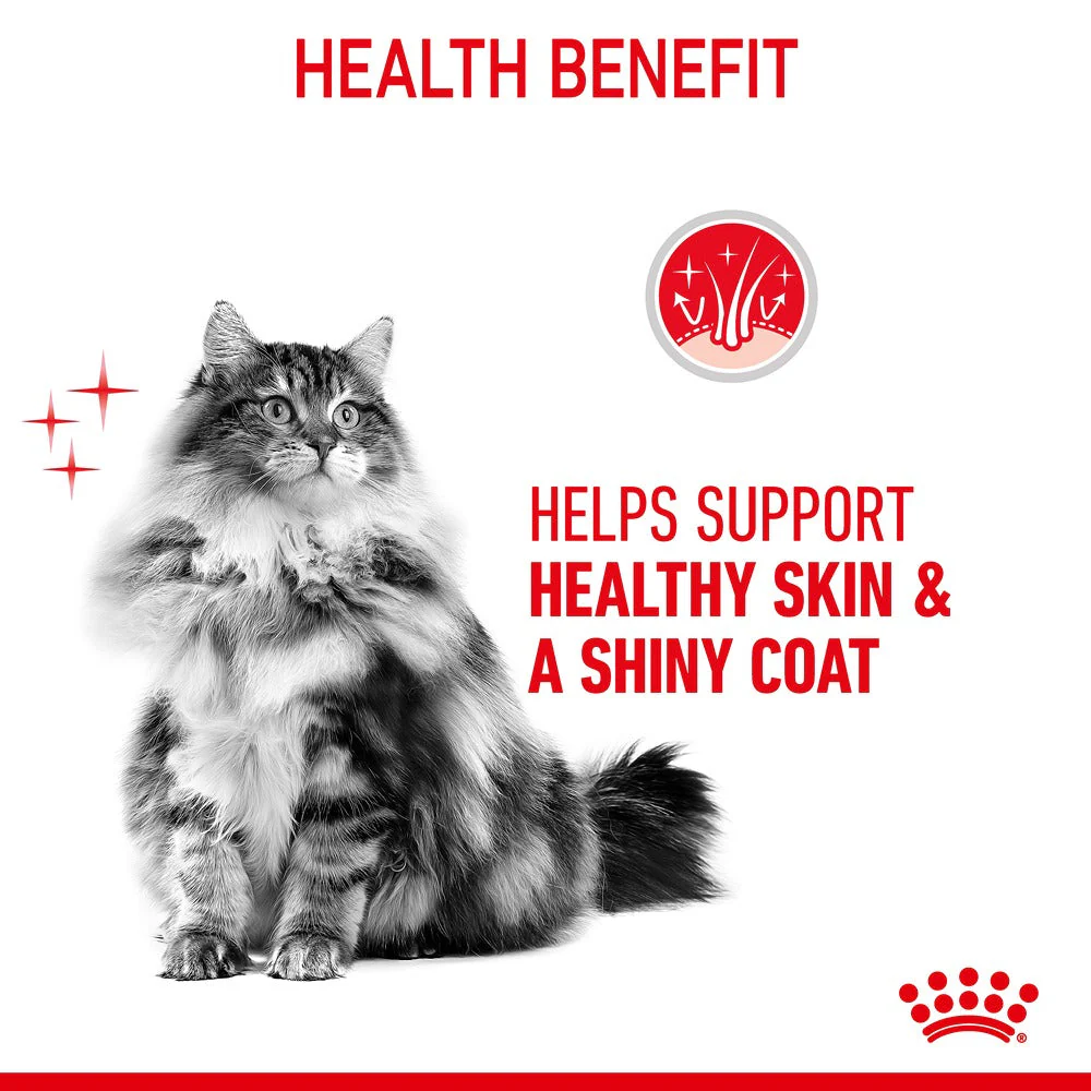 Royal Canin Hair & Skin Care Adult Dry Cat Food 2kg - Image 5