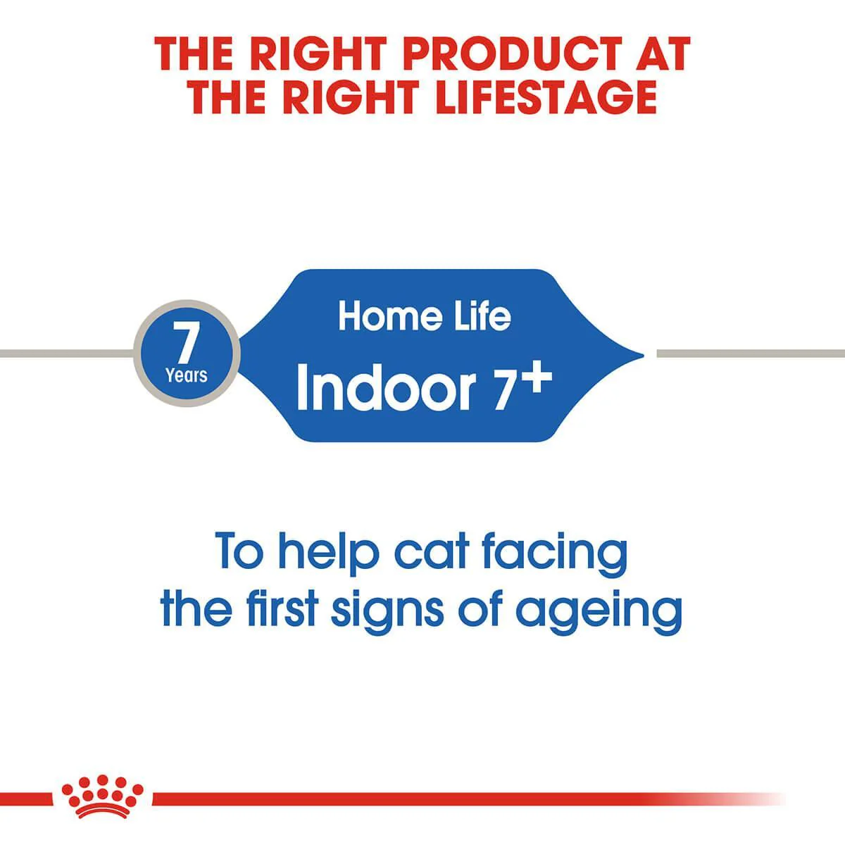 Royal Canin Indoor 7+ Senior Dry Cat Food - Image 5