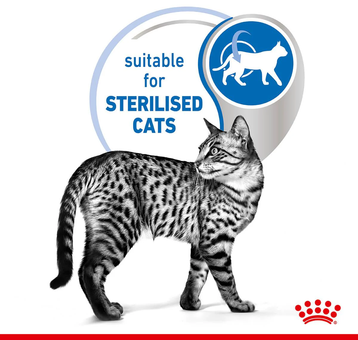 Royal Canin Indoor Sterilised Gravy Wet Cat Food - Image 6