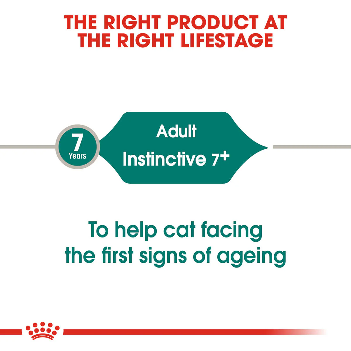 Royal Canin Instinctive 7+ Adult In Gravy Wet Cat Food - Image 2