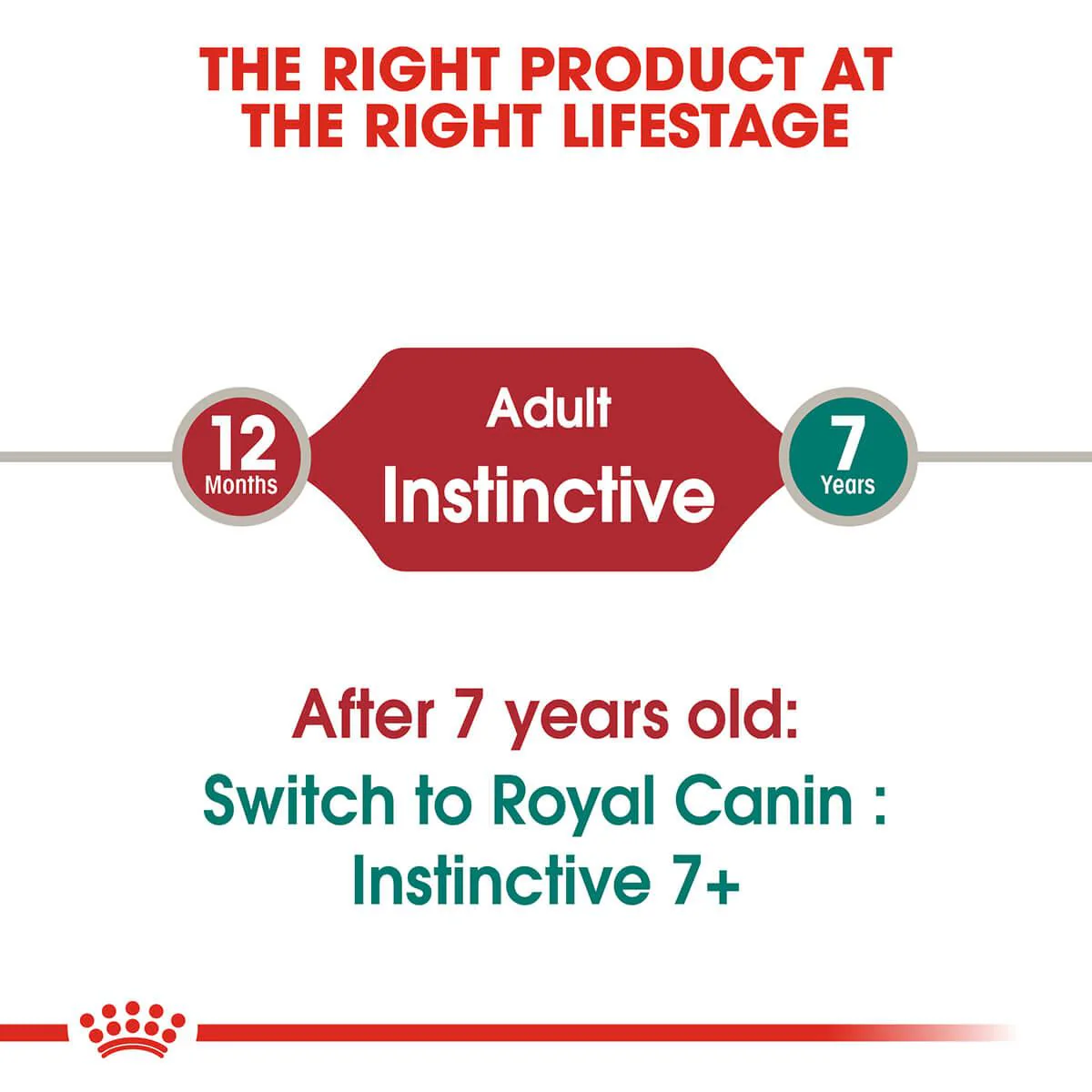 Royal Canin Instinctive Adult In Jelly Wet Cat Food - Image 4