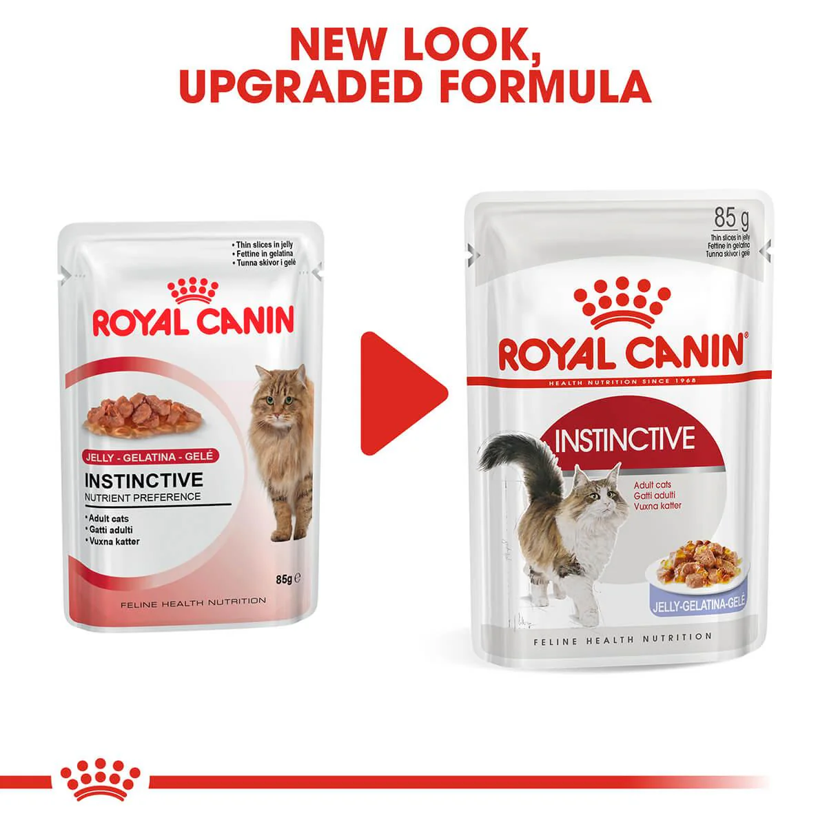 Royal Canin Instinctive Adult In Jelly Wet Cat Food - Image 9