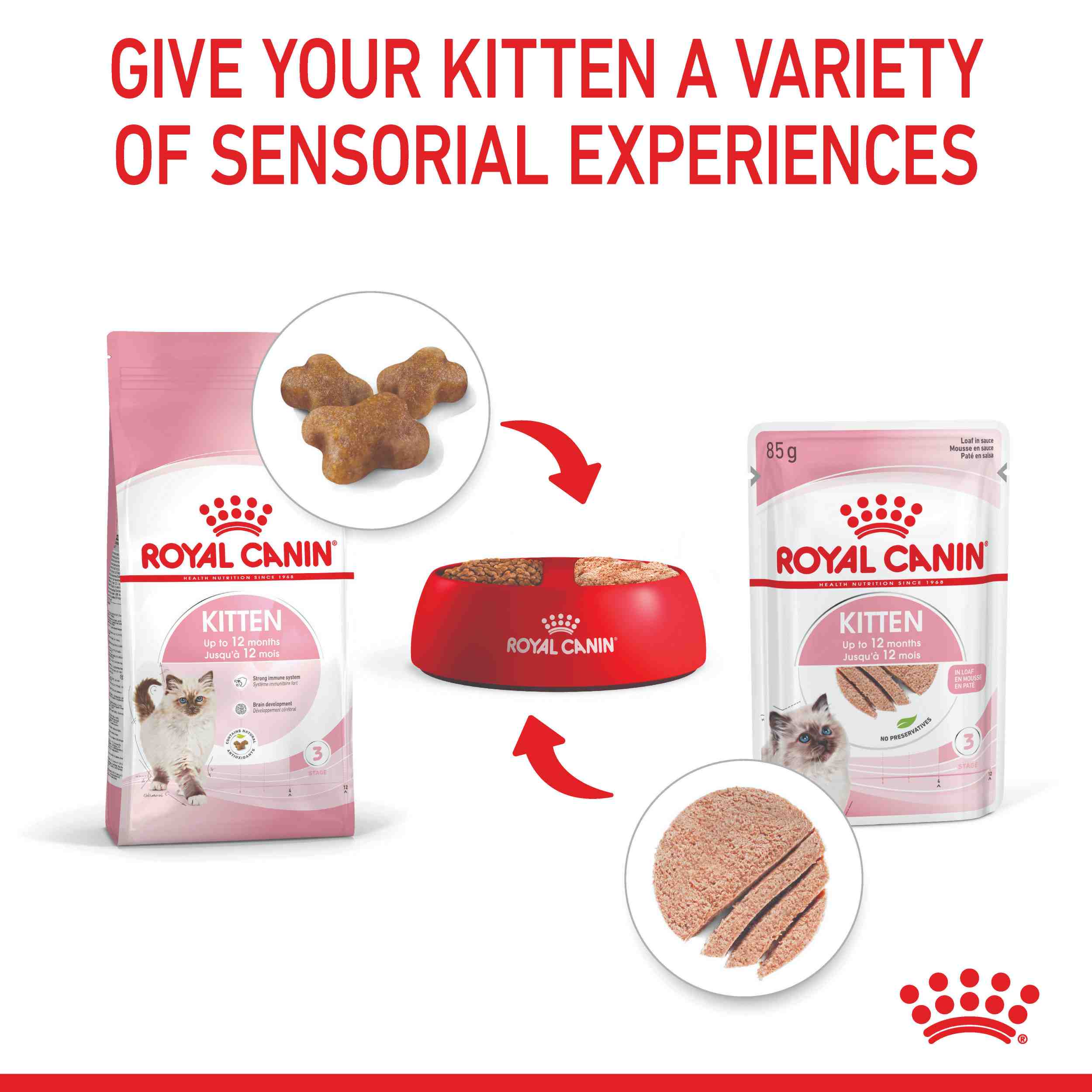 Royal Canin Instinctive Kitten Loaf Wet Cat Food - Image 10
