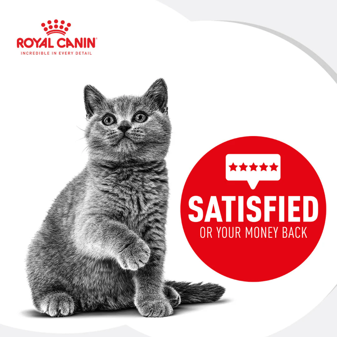 Royal Canin Instinctive Kitten Loaf Wet Cat Food - Image 6