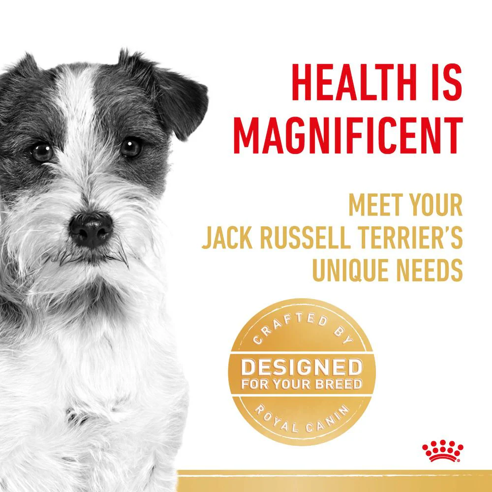 Royal Canin Jack Russell Adult Dry Dog Food - Image 2