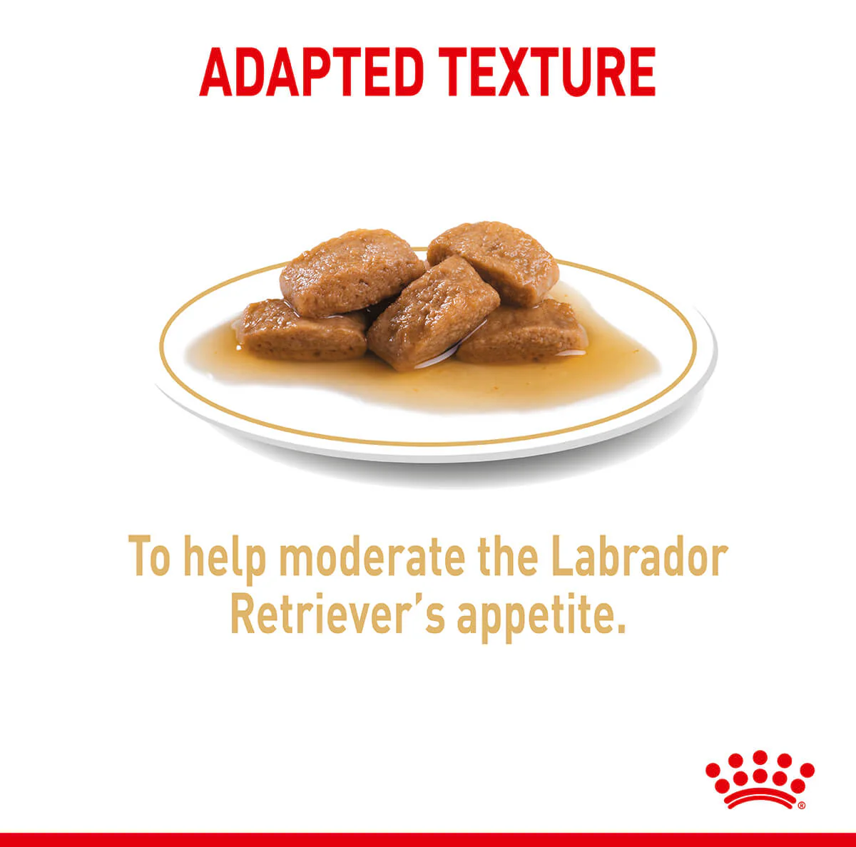 Royal Canin Labrador Retriever Loaf Wet Dog Food - Image 7