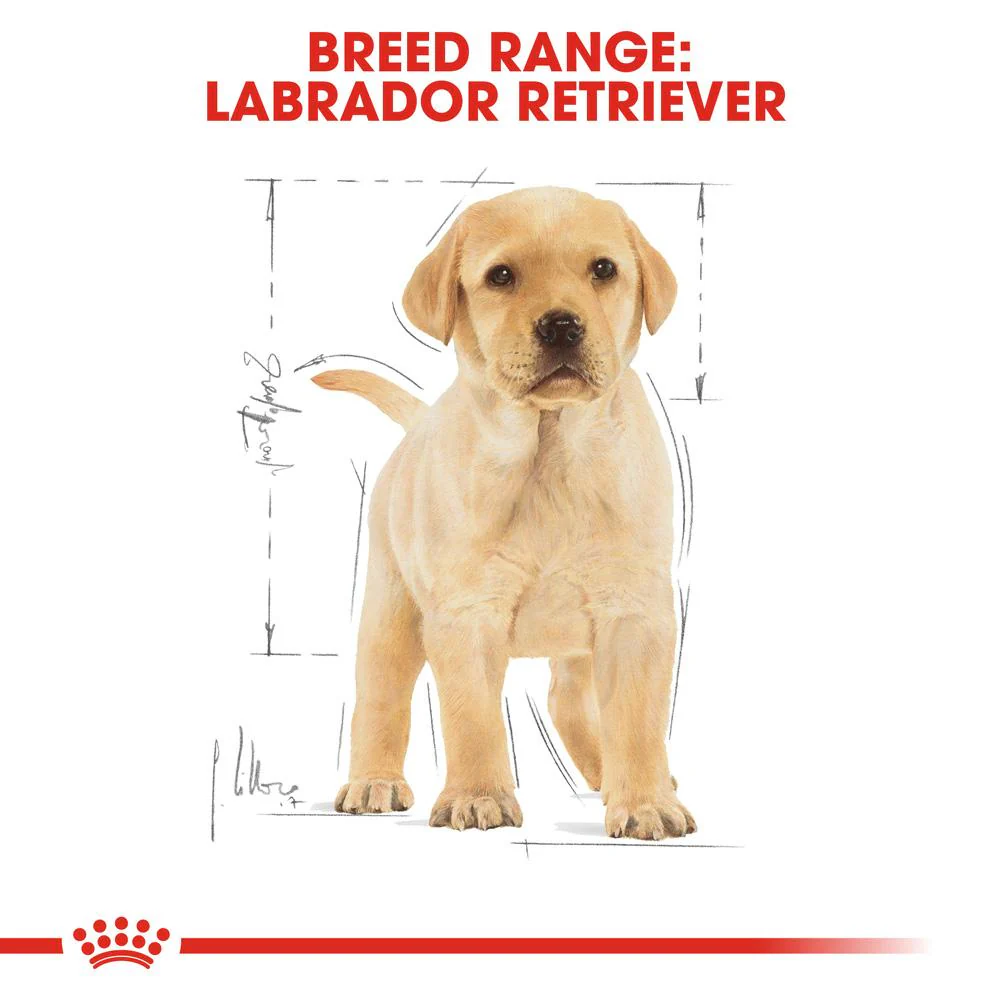 Royal Canin Labrador Retriever Puppy Dry Dog Food - Image 8
