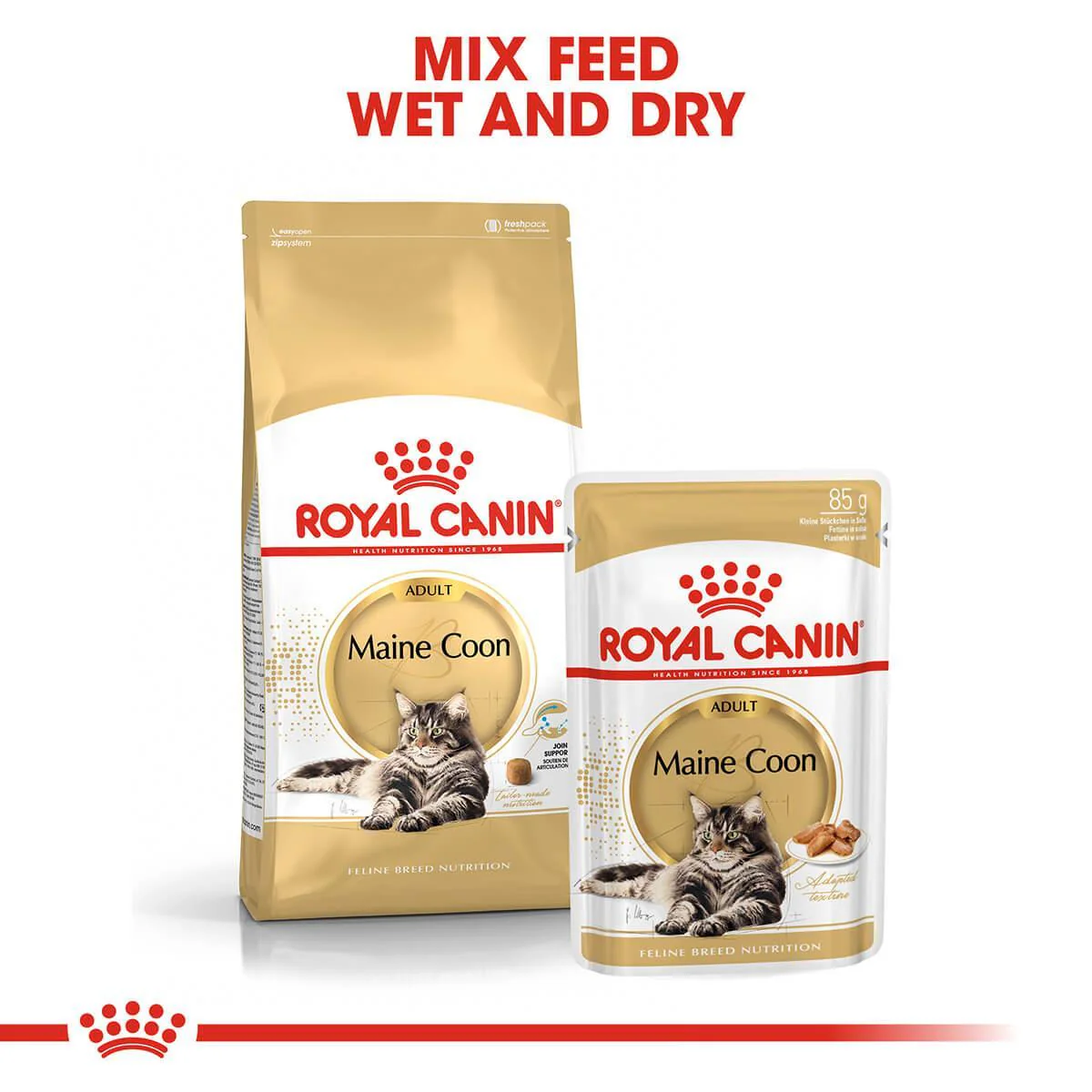 Royal Canin Maine Coon Dry Cat Food - Image 15