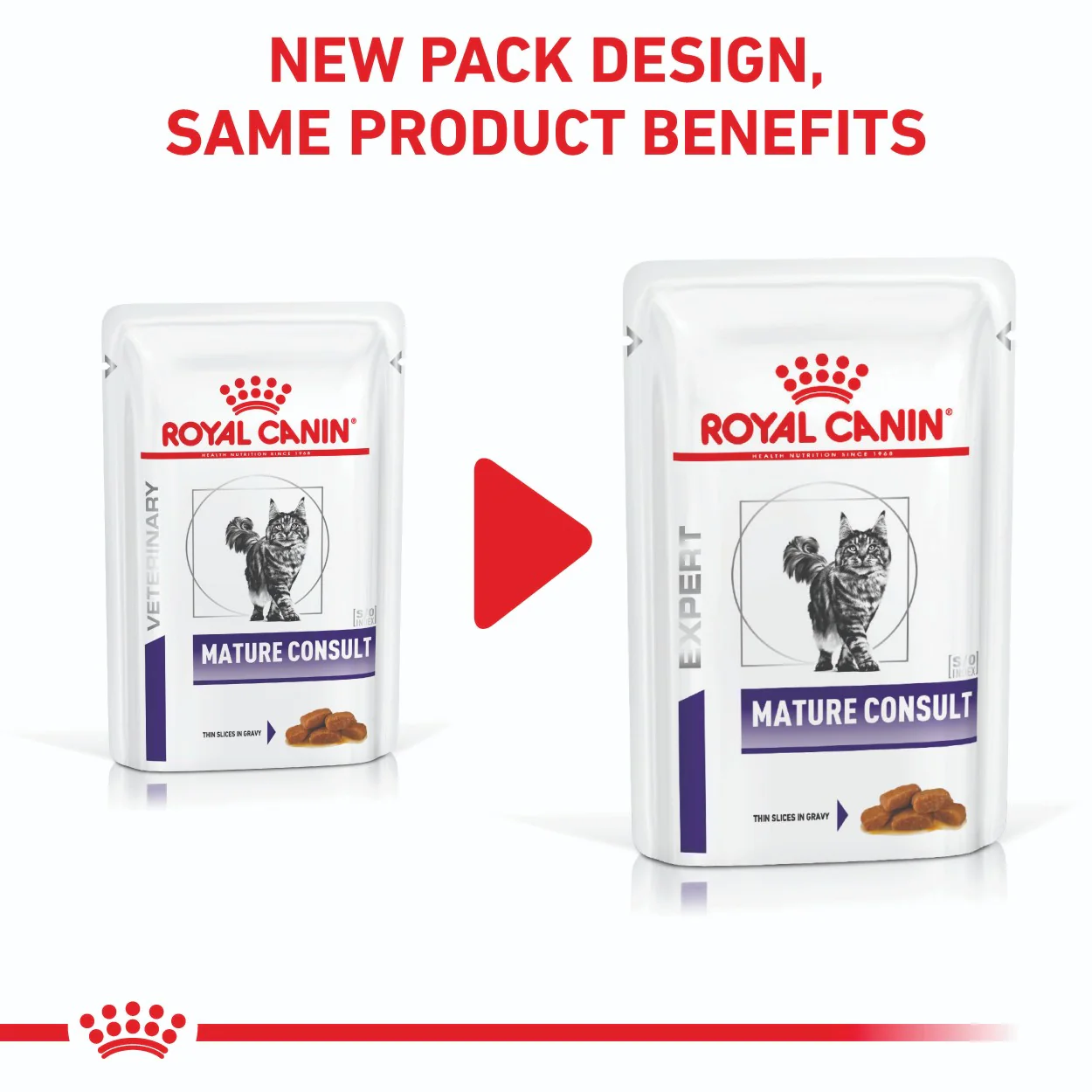 Royal Canin Mature Consult Wet Cat Food - Image 12