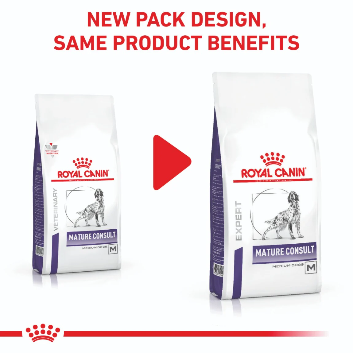 Royal Canin Expert Mature Medium Breed Consult Dry Dog Food - Image 2