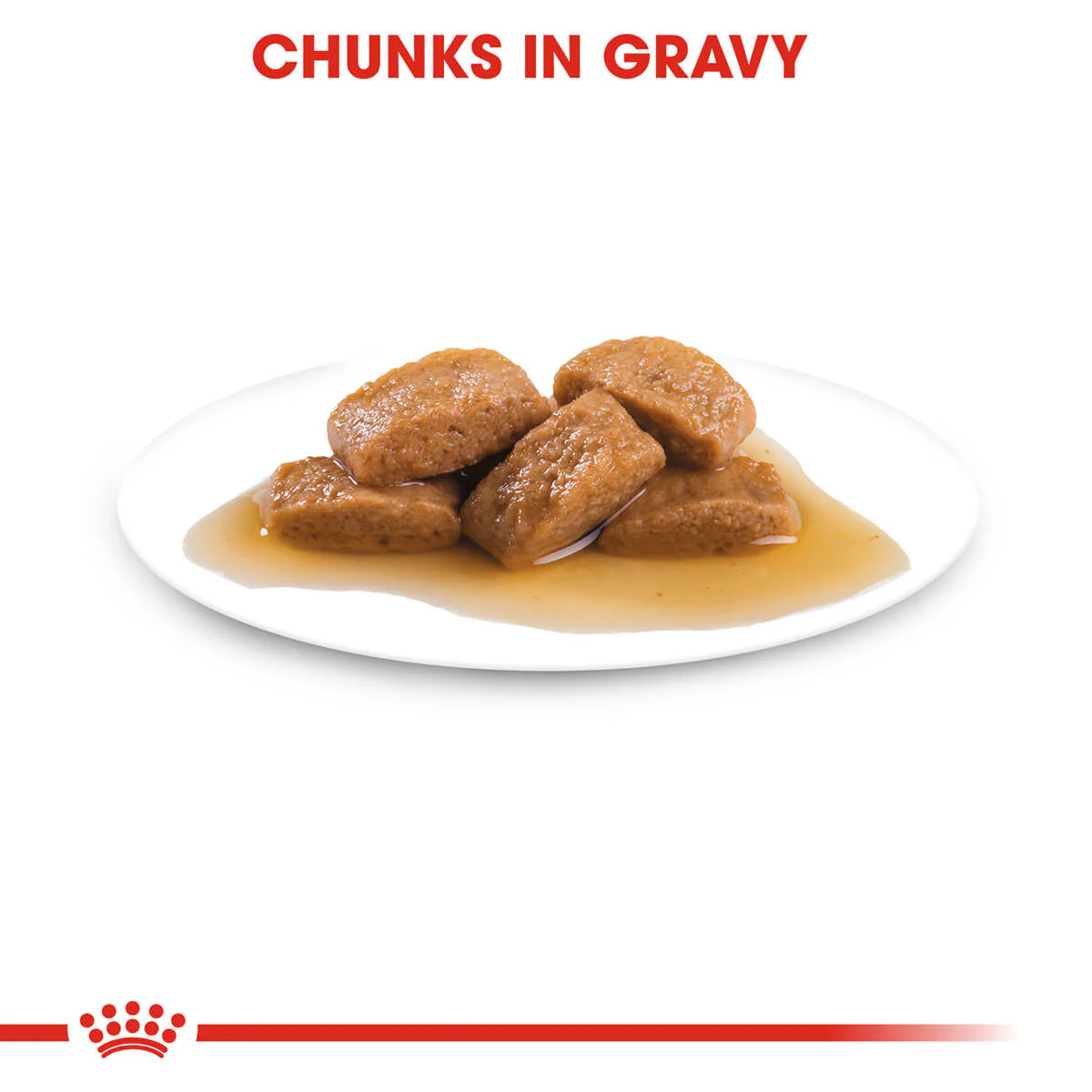 Royal Canin Maxi Adult Wet Dog Food - Image 7