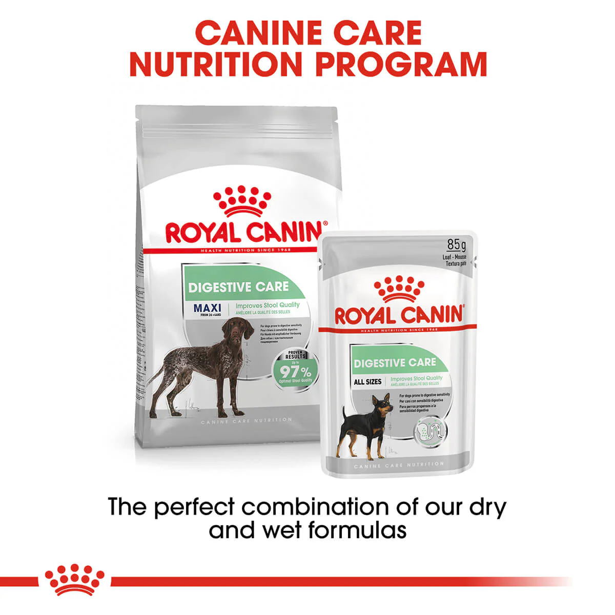 Royal Canin Maxi Digestive Care Adult Dry Dog Food - Image 8