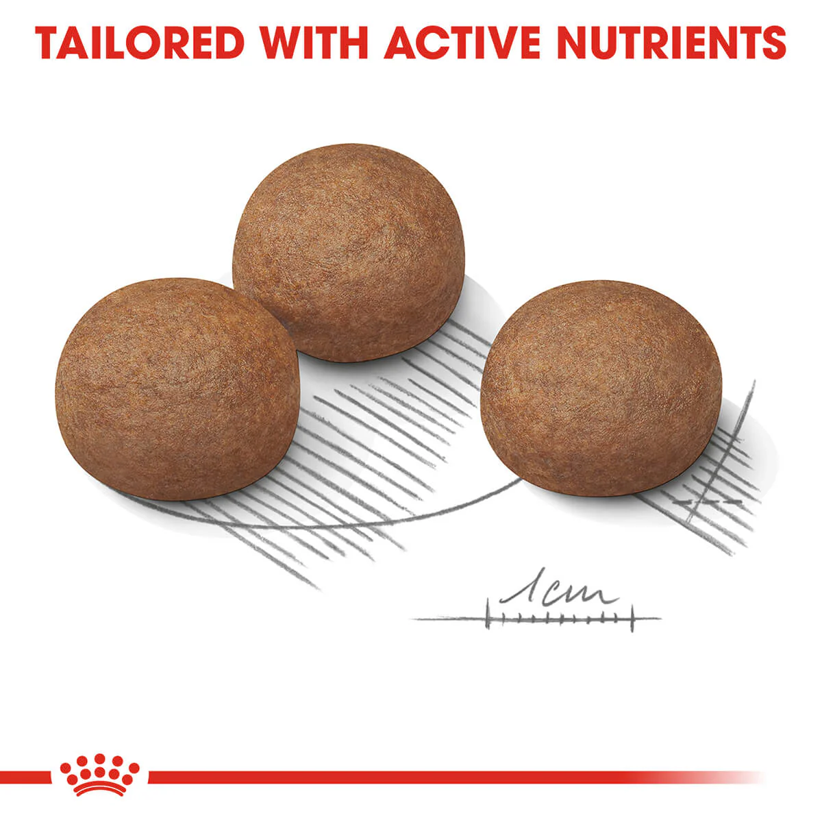 Royal Canin Maxi Digestive Care Adult Dry Dog Food - Image 9