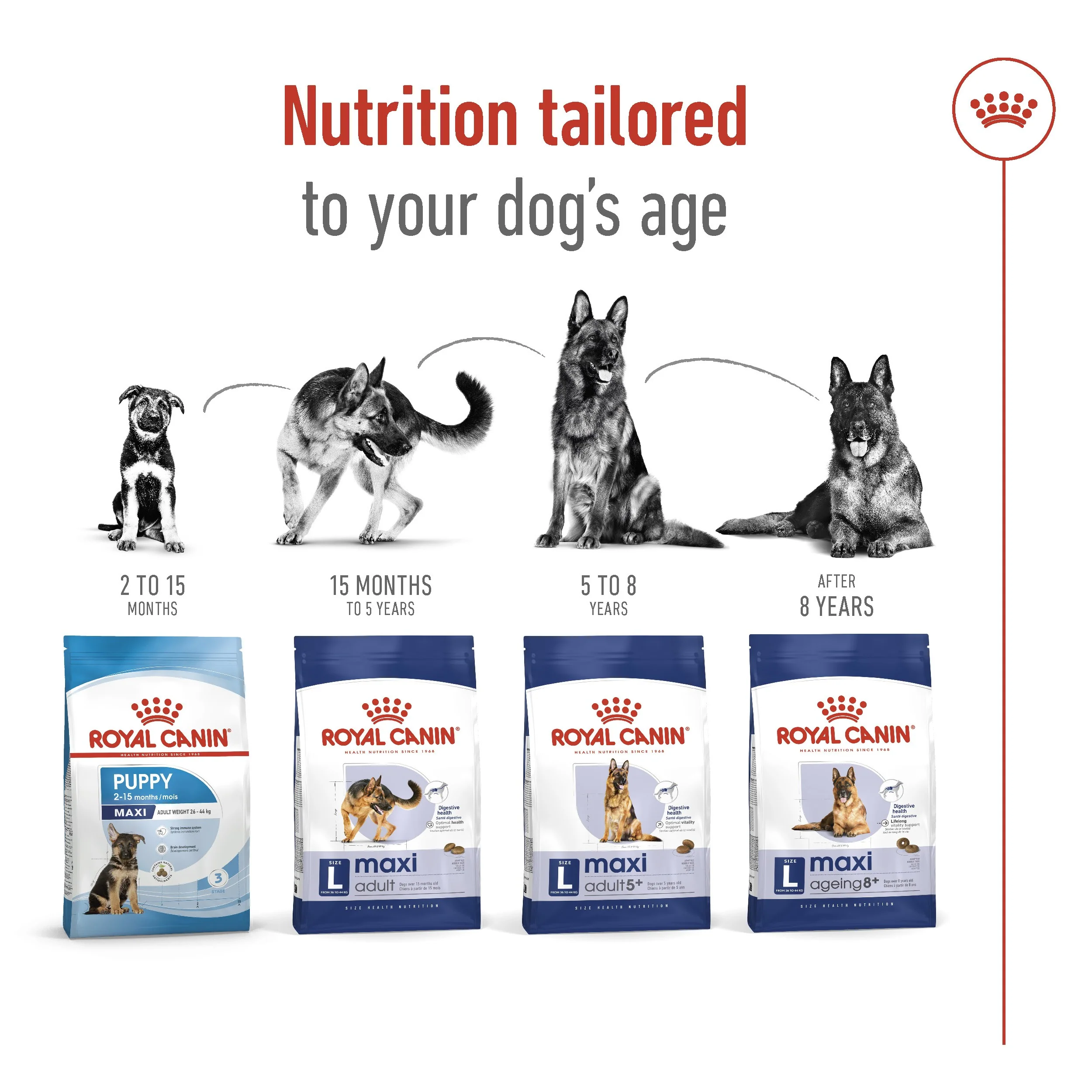 Royal Canin Maxi Large Breed Adult Chicken Dry Dog Food - Image 9