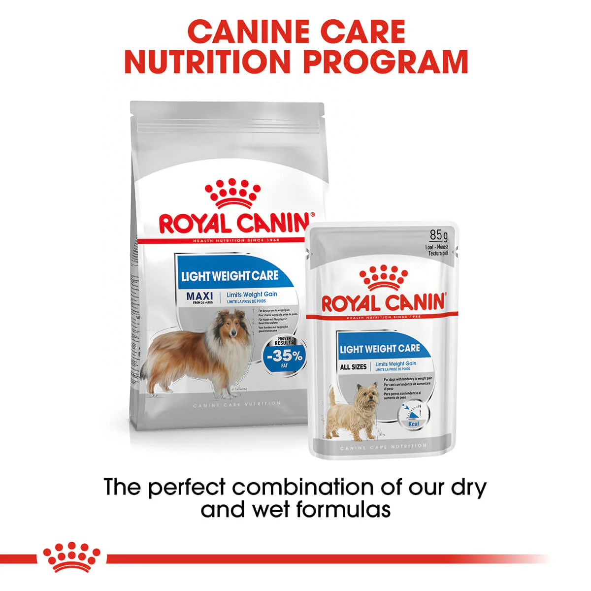 Royal Canin Maxi Light Weight Care Adult Dry Dog Food - Image 10