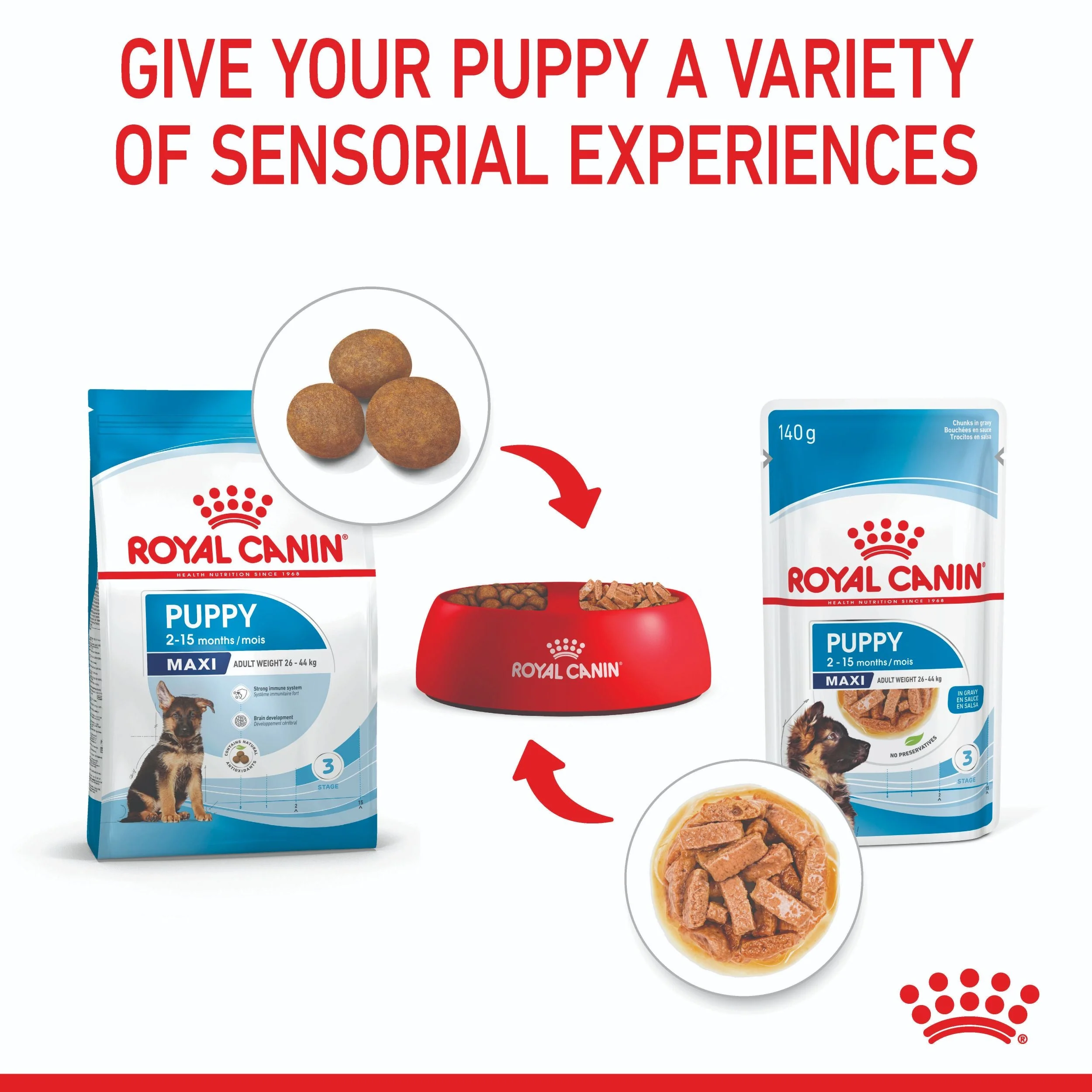 Royal Canin Maxi Breed Puppy Wet Dog Food - Image 10