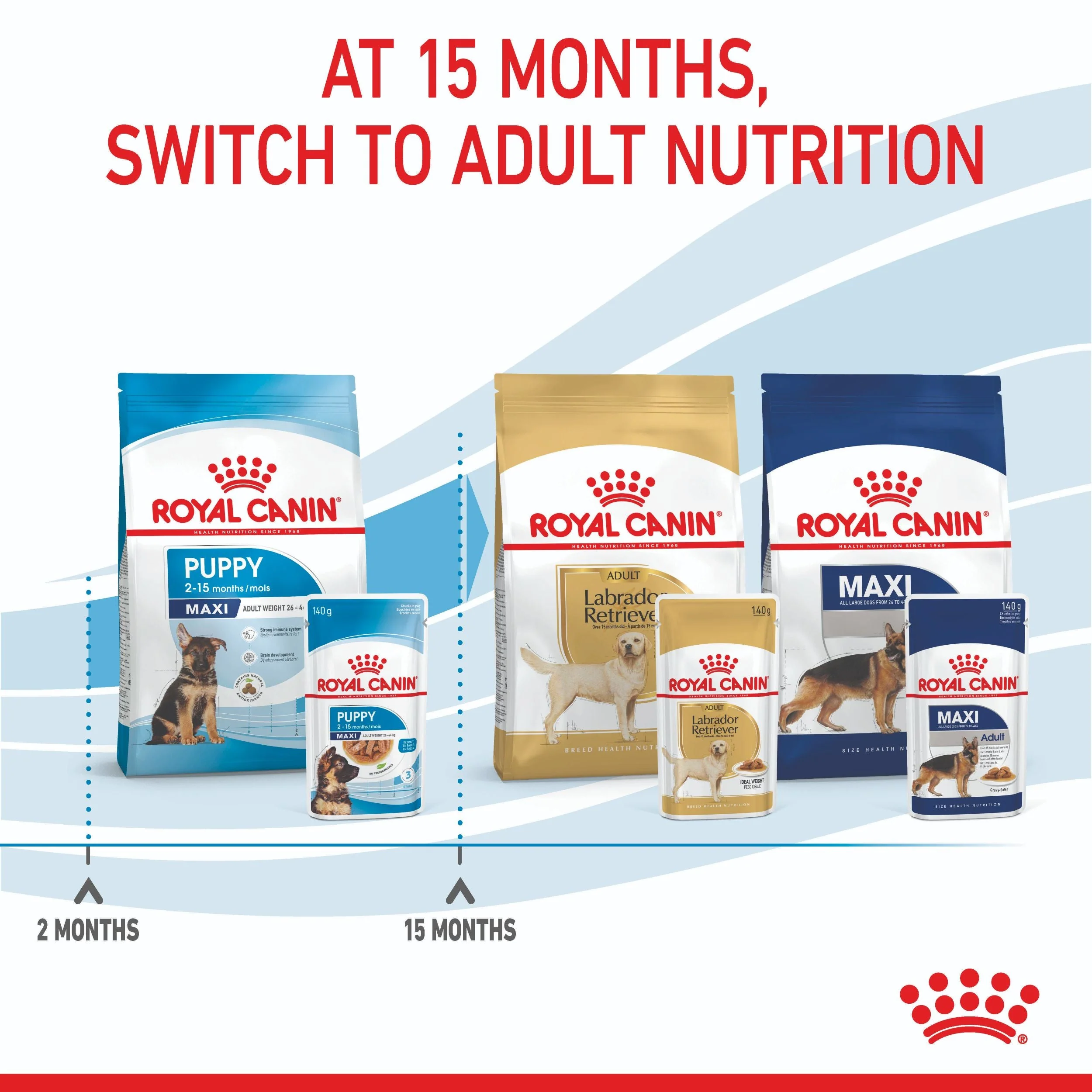 Royal Canin Maxi Breed Puppy Wet Dog Food - Image 13