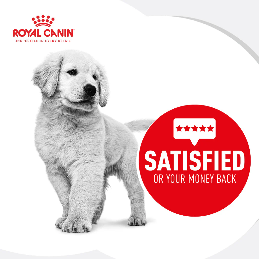 Royal Canin Maxi Breed Puppy Wet Dog Food - Image 6