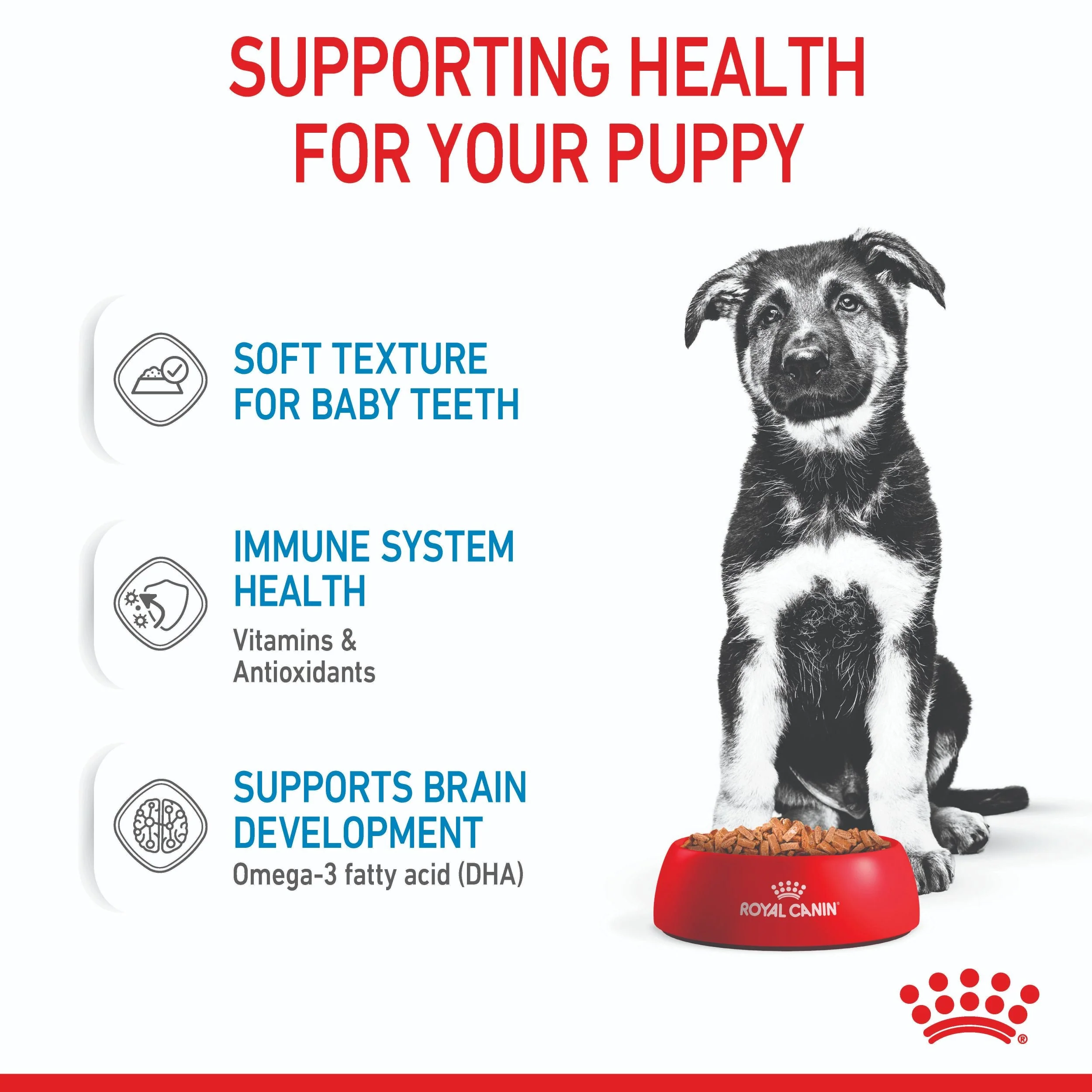 Royal Canin Maxi Breed Puppy Wet Dog Food - Image 9