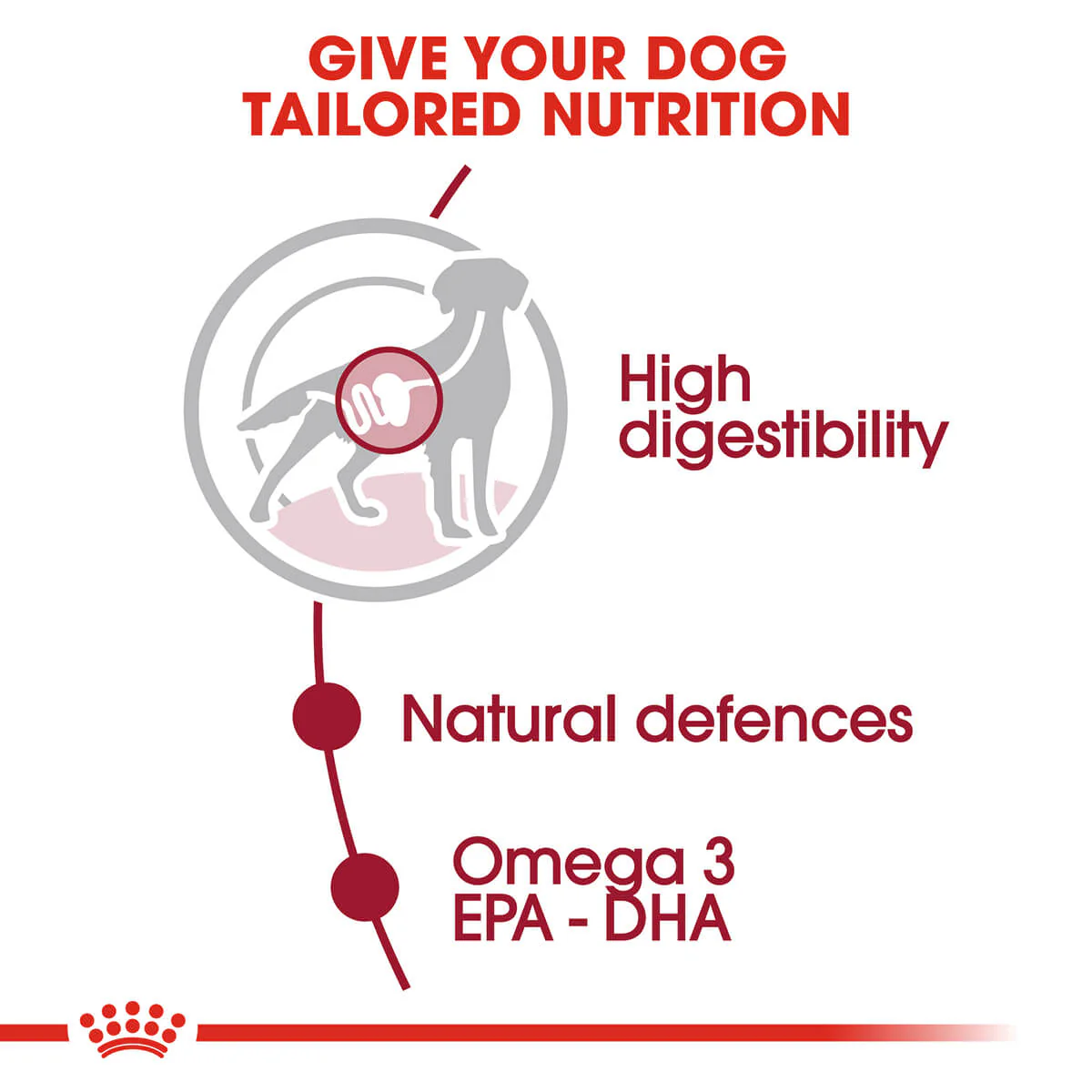 Royal Canin Medium Adult Wet Dog Food - Image 12