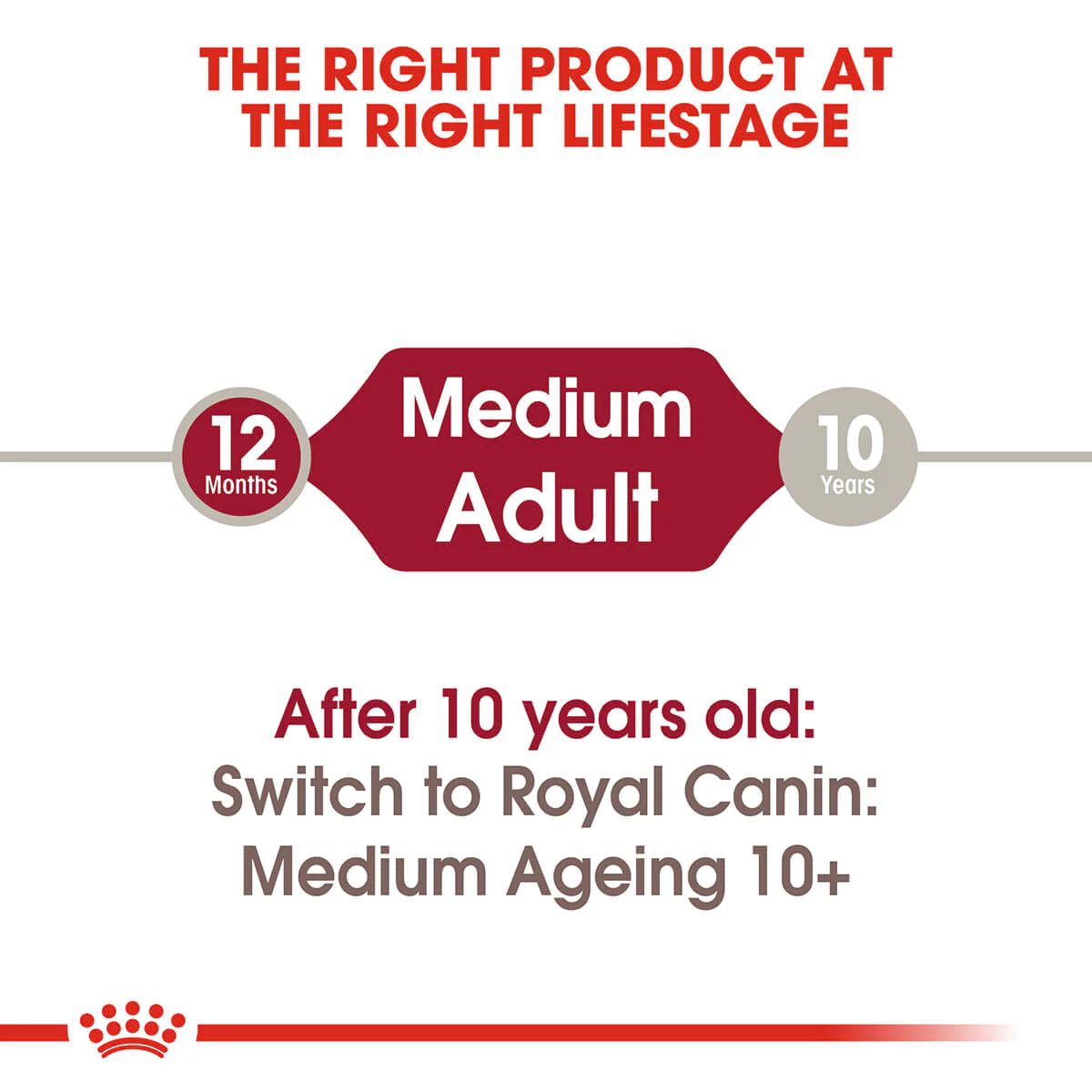 Royal Canin Medium Adult Wet Dog Food - Image 2
