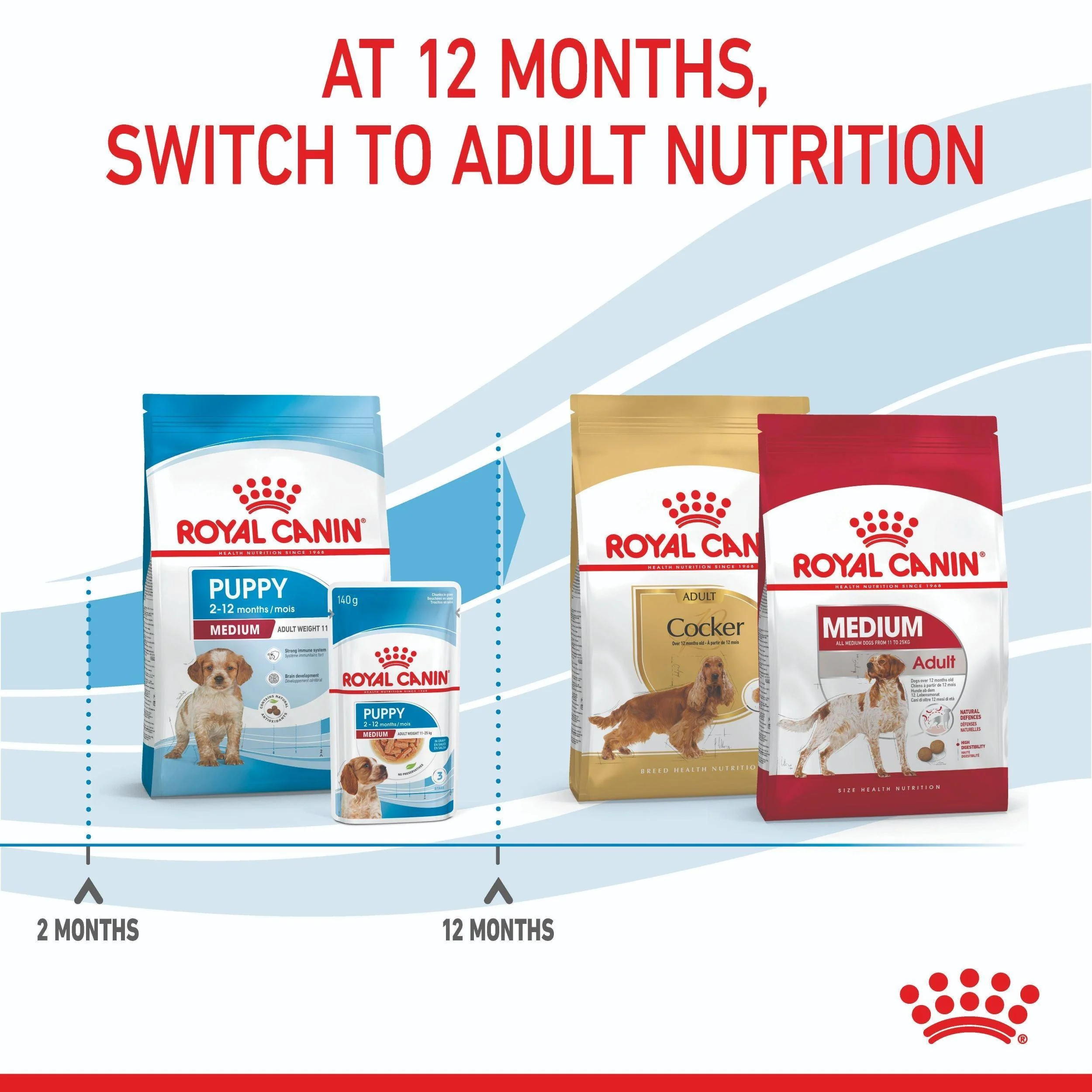 Royal Canin Medium Breed Puppy Chicken Dry Dog Food - Image 13