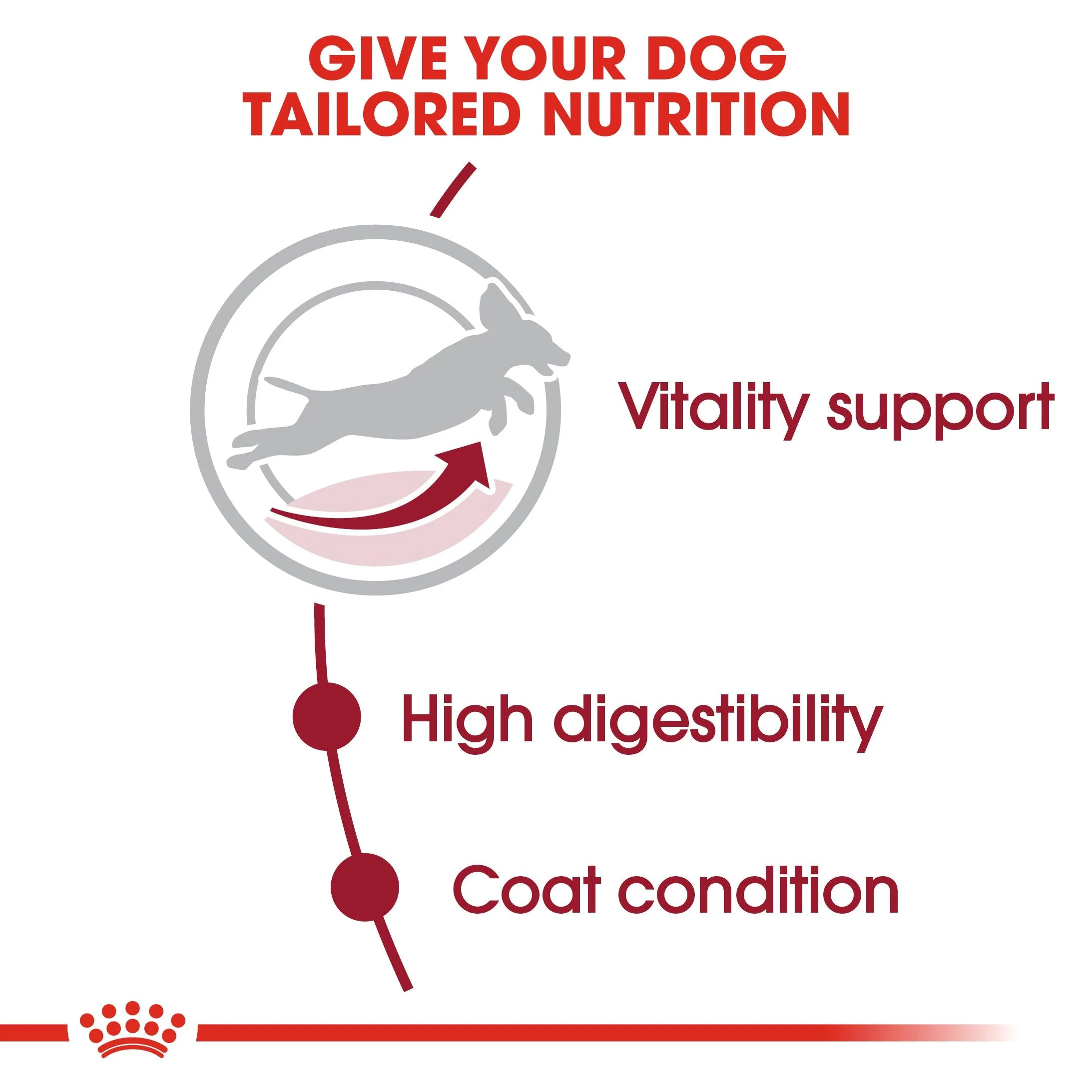 Royal Canin Medium Breed Senior Chicken Dry Dog Food 15kg - Image 4