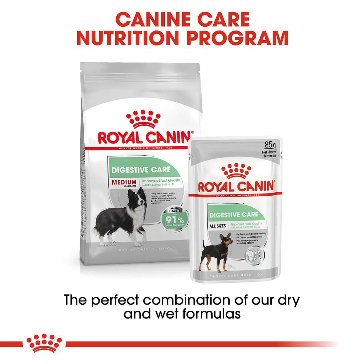 Royal Canin Medium Digestive Care Adult Dry Dog Food - Image 10