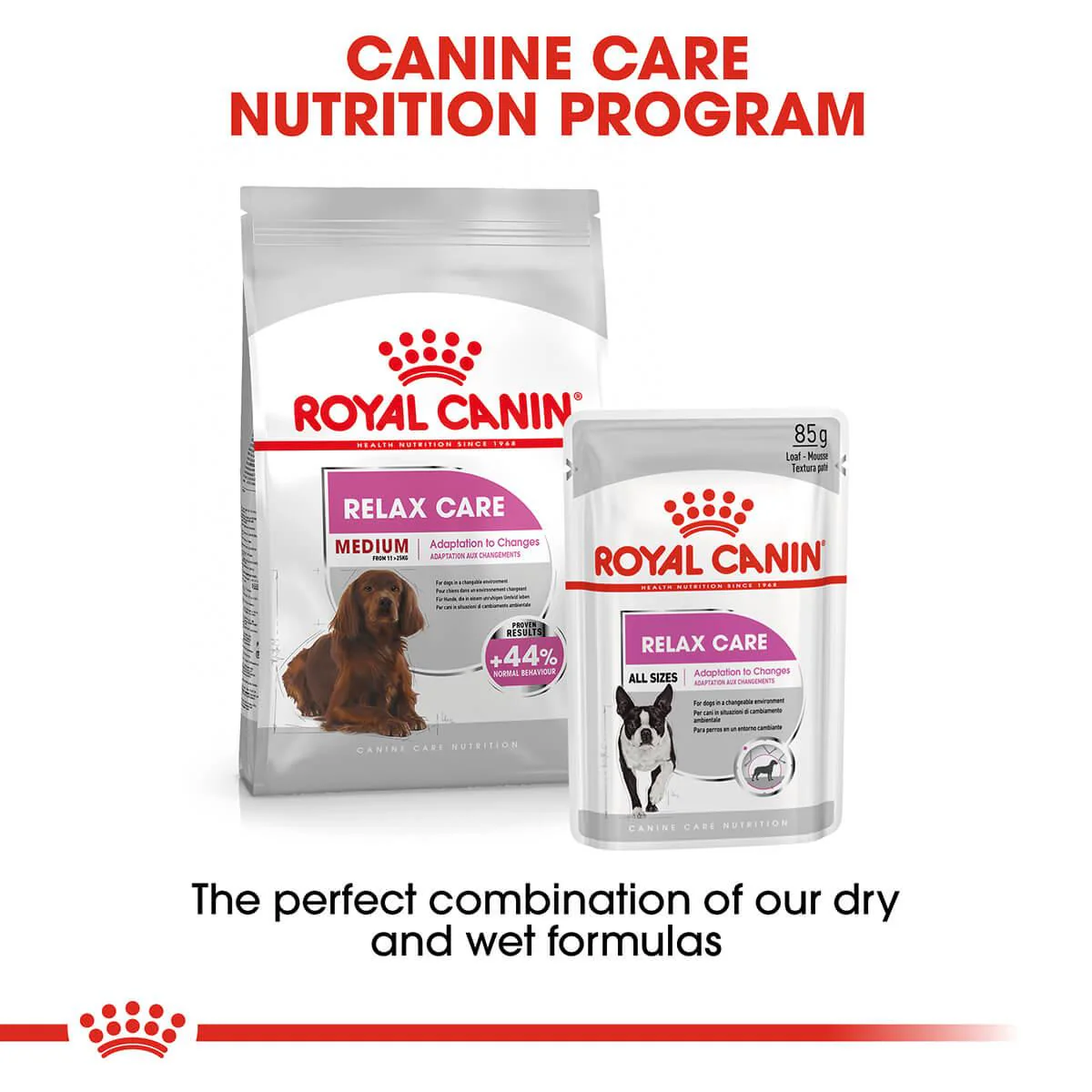 Royal Canin Medium Relax Care Adult Dry Dog Food - Image 10