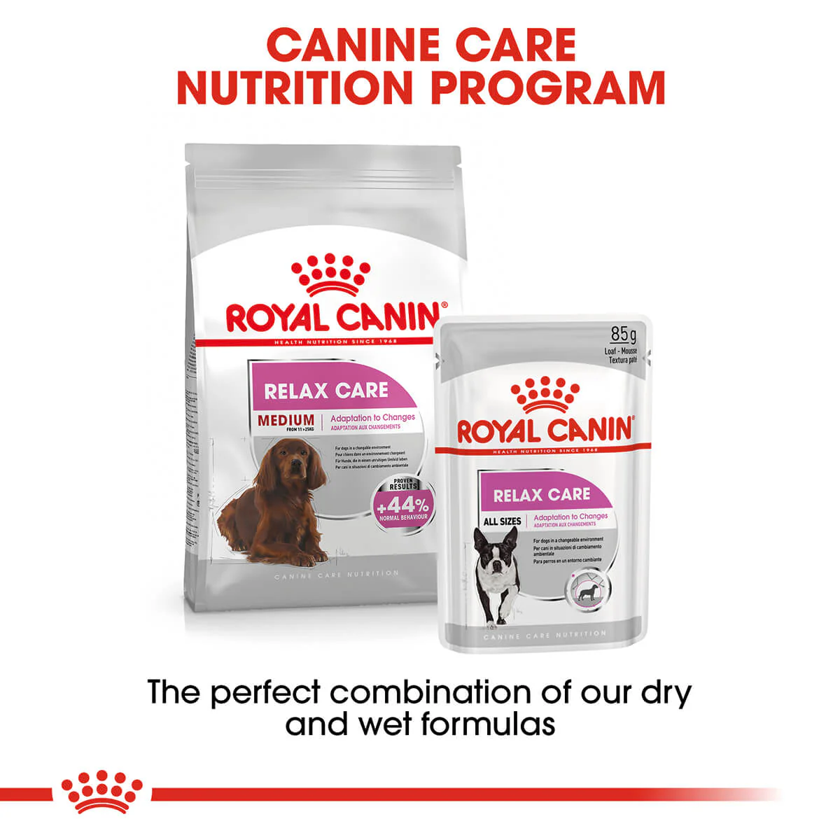 Royal Canin Medium Relax Care Adult Dry Dog Food - Image 11