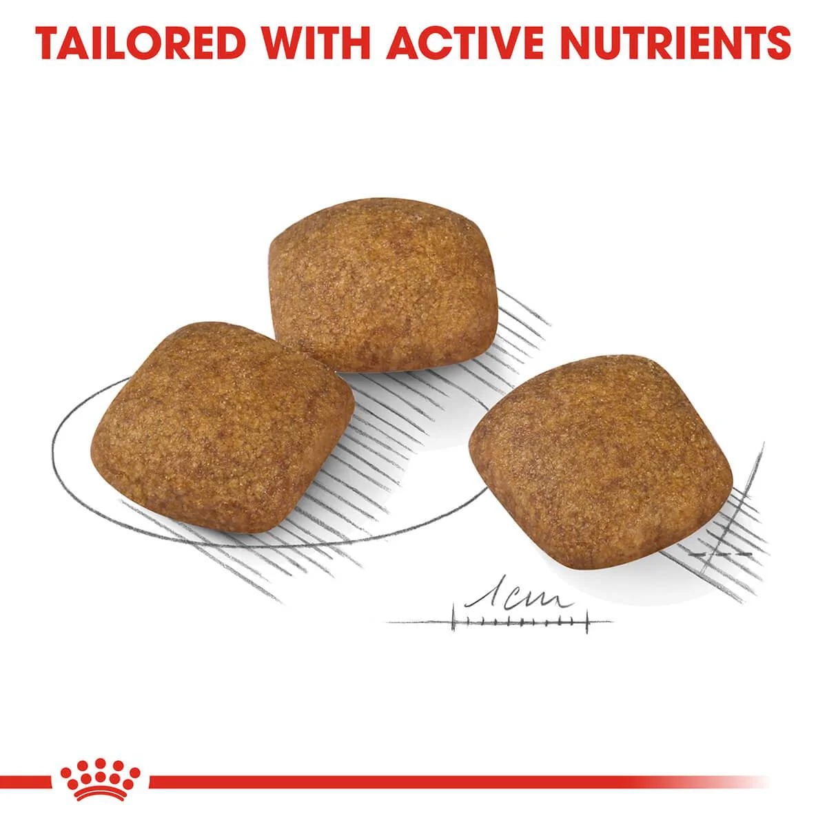 Royal Canin Medium Relax Care Adult Dry Dog Food - Image 7