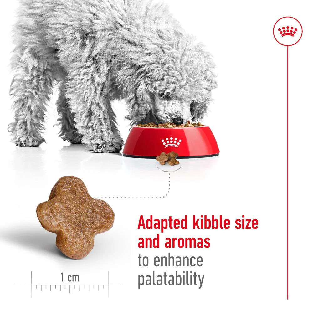 Royal Canin Mini Adult 8+ Dry Dog Food 2kg - Image 5