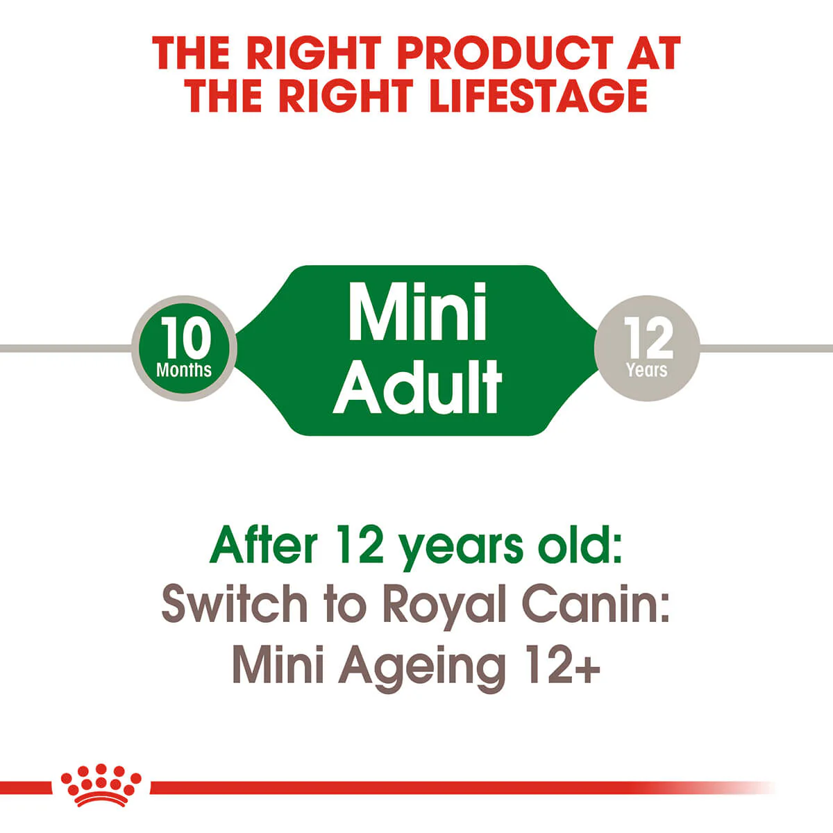 Royal Canin Mini Adult Wet Dog Food - Image 4