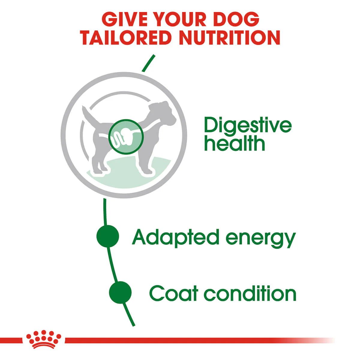 Royal Canin Mini Adult Wet Dog Food - Image 5
