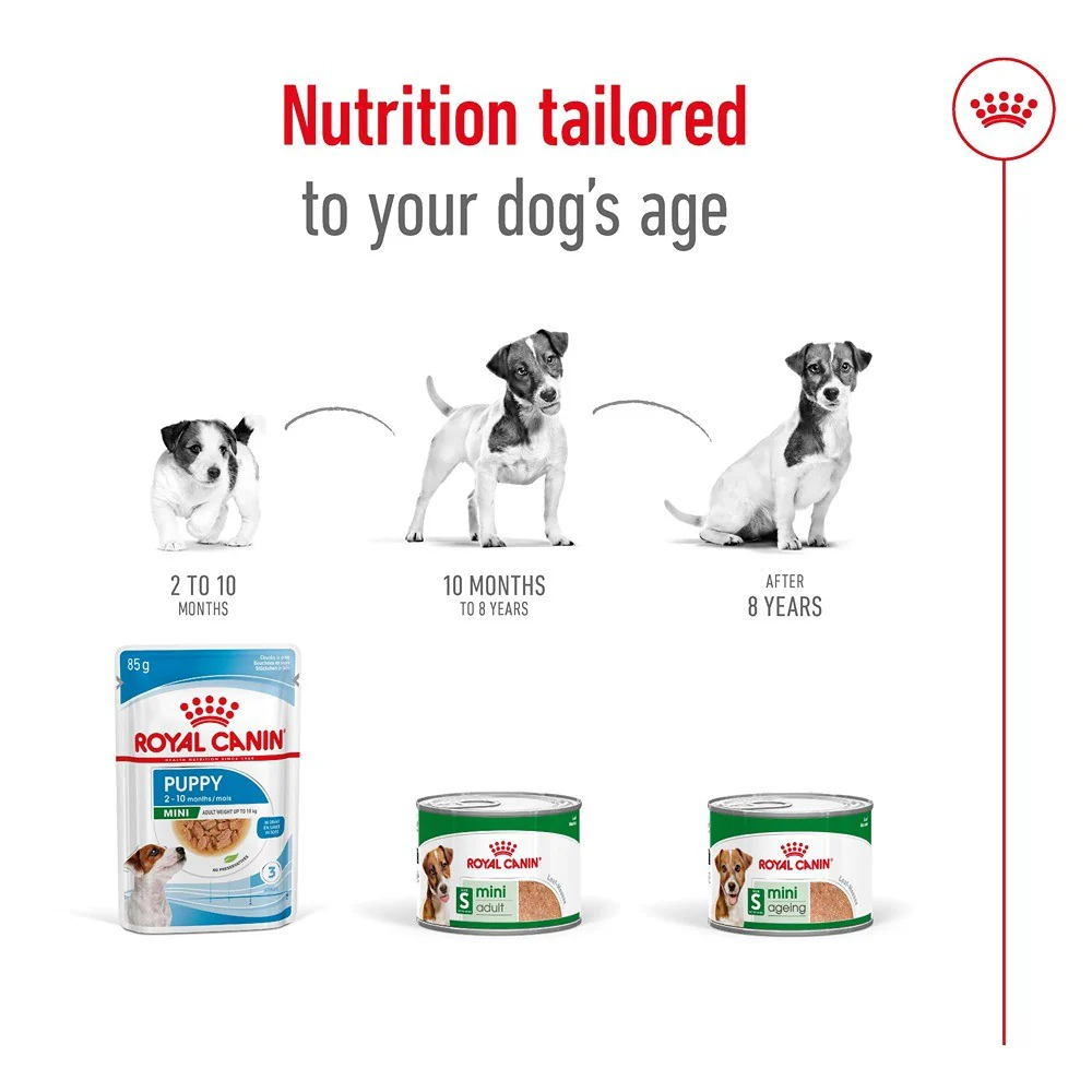 Royal Canin Mini Ageing Loaf Wet Dog Food - Image 11